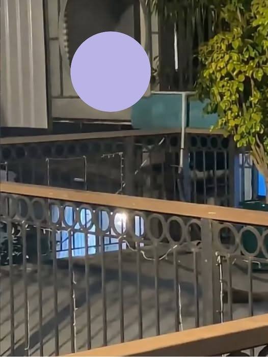 [Vjde0] Mới đầu năm đi uống nước đã gặp thằn lằn bám kính rồi